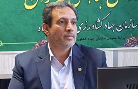 کشت ۲ هزار و ۵۰۰ هکتار سیب‌زمینی در استان کرمانشاه