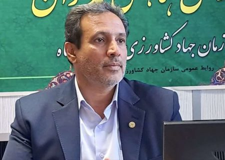 کشت ۲ هزار و ۵۰۰ هکتار سیب‌زمینی در استان کرمانشاه