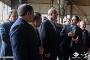 بازگشت یک پسماند ریشه شیرین بیان به طبیعت تنها مانع تولید در شرکت فناوران توسعه صنعت غرب است