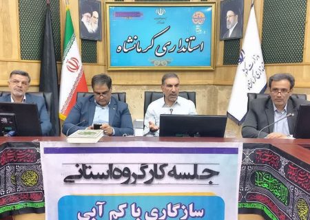 گسترش بی‌ضابطه کشت‌های آب‌بر، خیانت به حقوق نسل آینده است